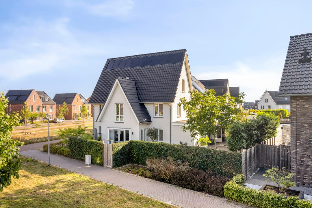 Foto 41 van Palissander 2