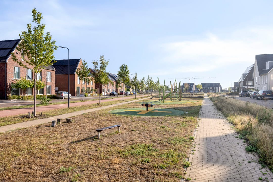 Foto 43 van Palissander 2