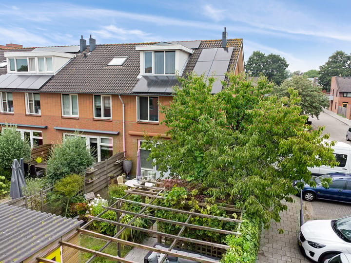 Foto 3 van Courgettepad 16