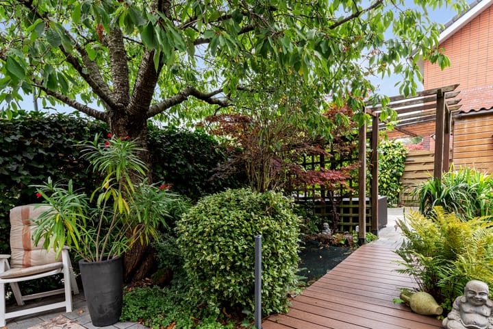 Foto 20 van Courgettepad 16