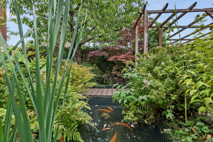 Foto 21 van Courgettepad 16