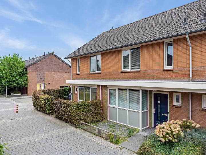 Foto 42 van Courgettepad 16