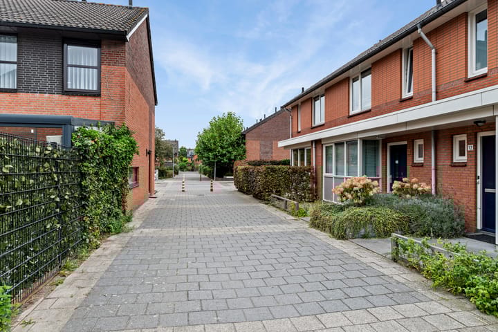 Foto 43 van Courgettepad 16