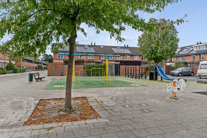 Foto 44 van Courgettepad 16