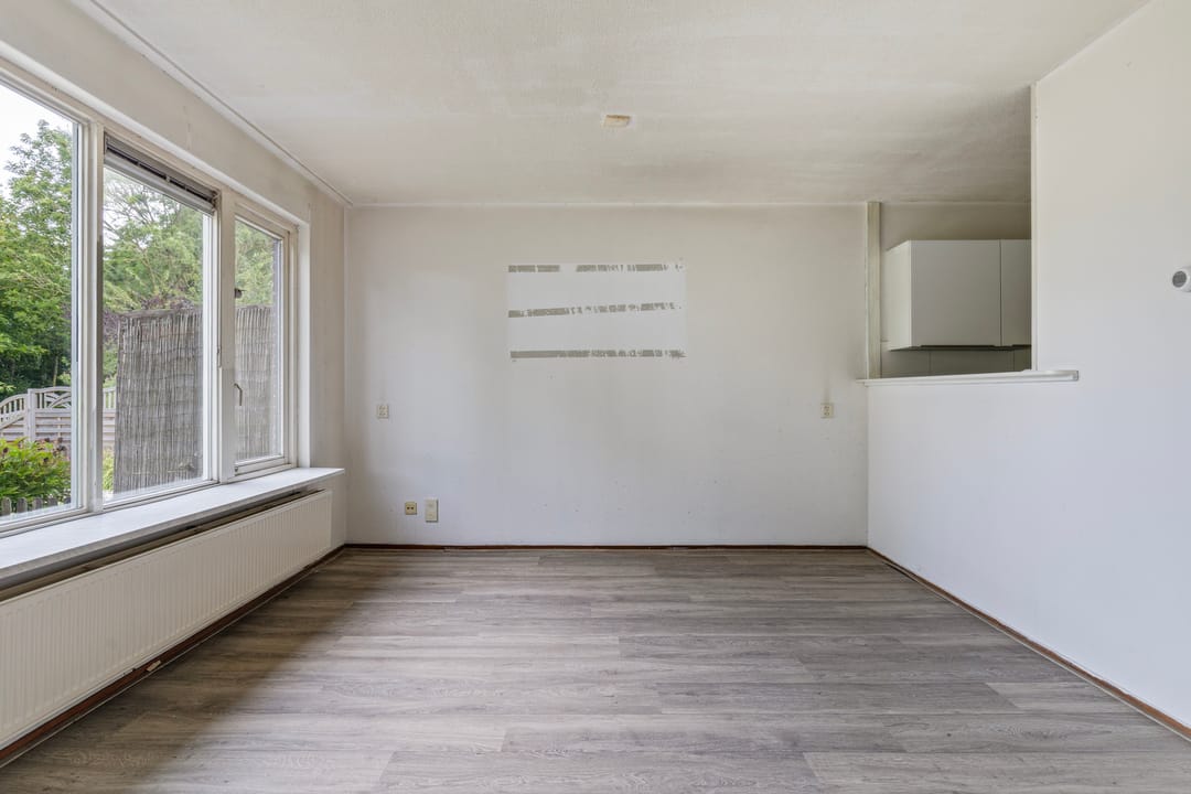 Foto 7 van Duivenslag 19