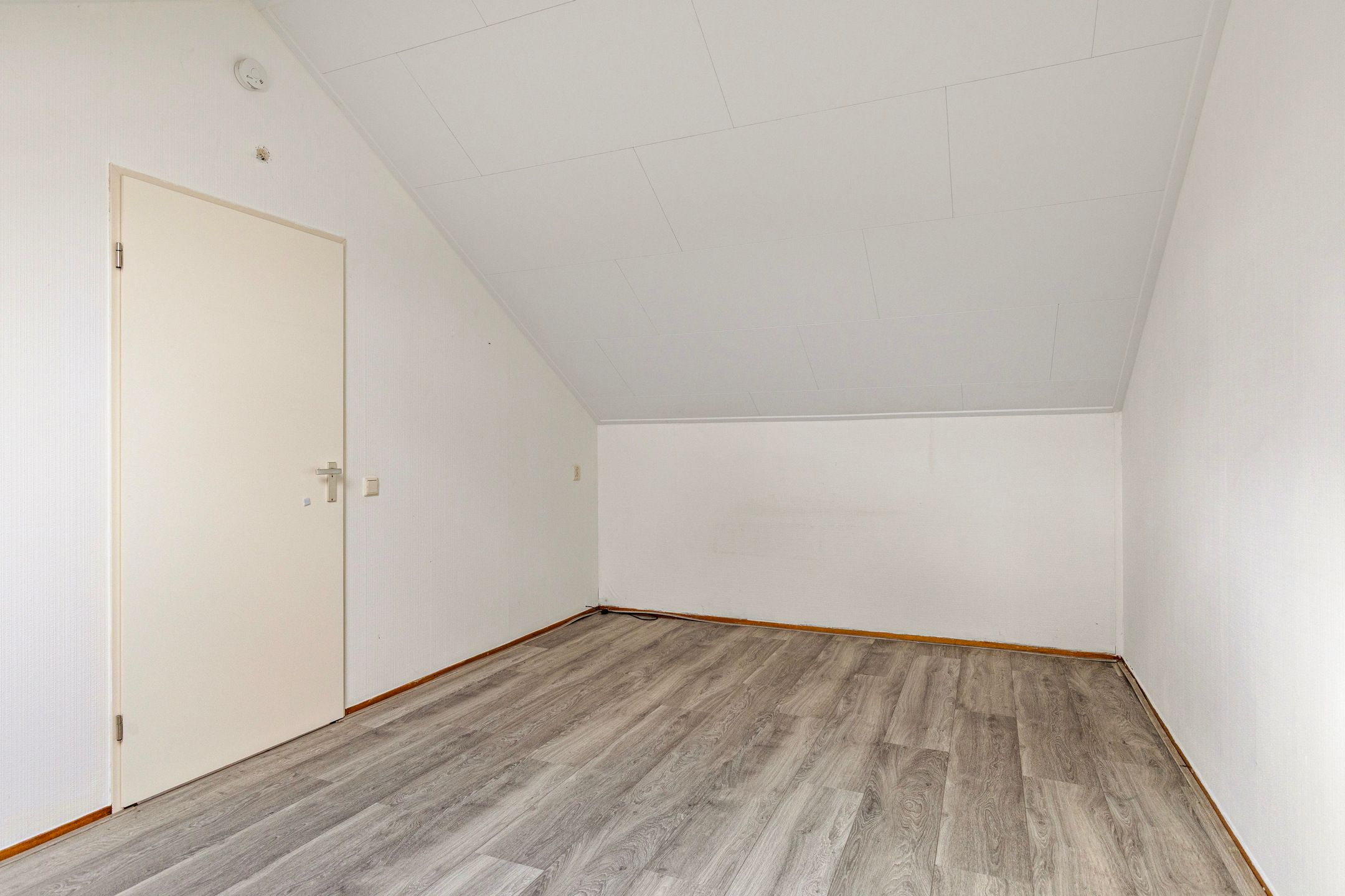 Foto 18 van Duivenslag 19