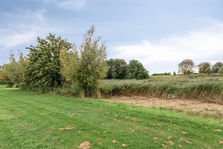 Foto 29 van Duivenslag 19