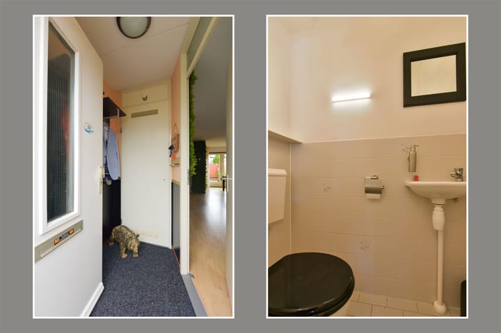 Foto 2 van Cees Buddingh'hof 114