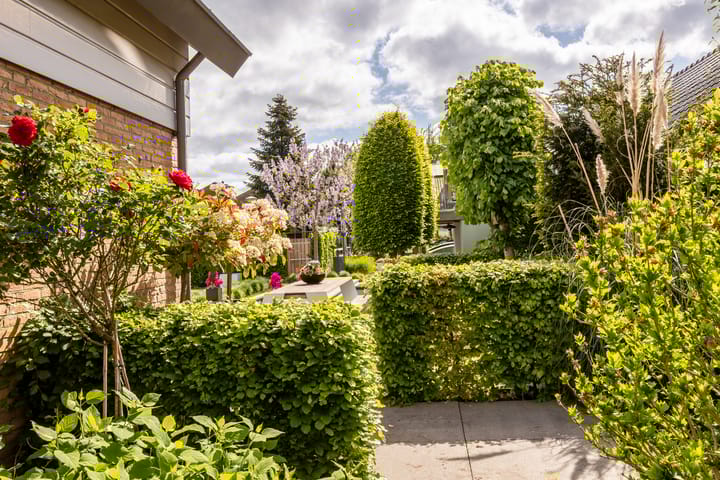 Foto 66 van Orchislaan 6