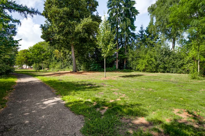 Foto 41 van Hogerweide 29