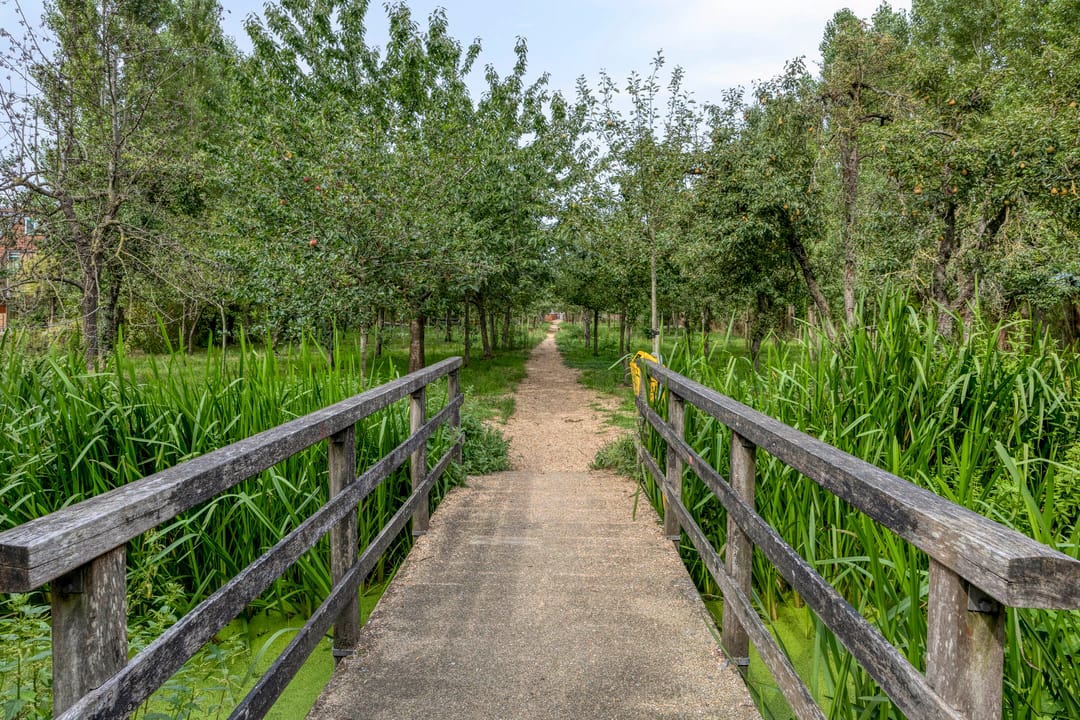 Foto 31 van Ambachtsweer 30