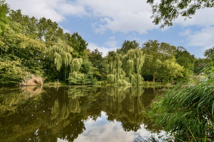 Photo 16 of Alkmaarstraat 333