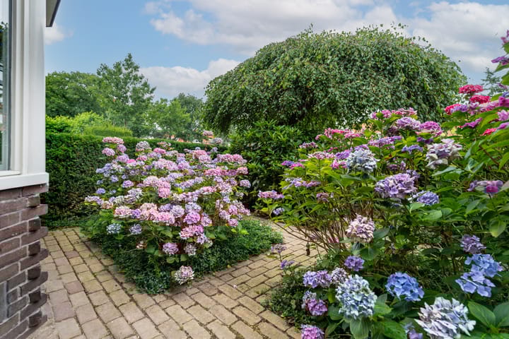 Foto 4 van Panweg 23