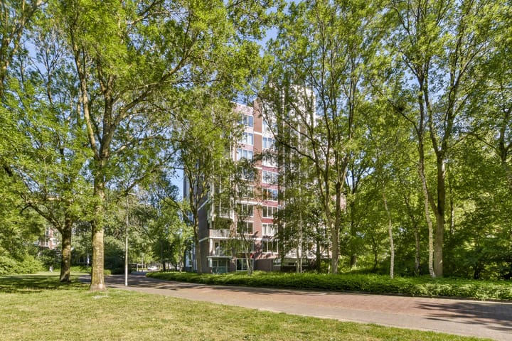 Photo 38 of Logger 149