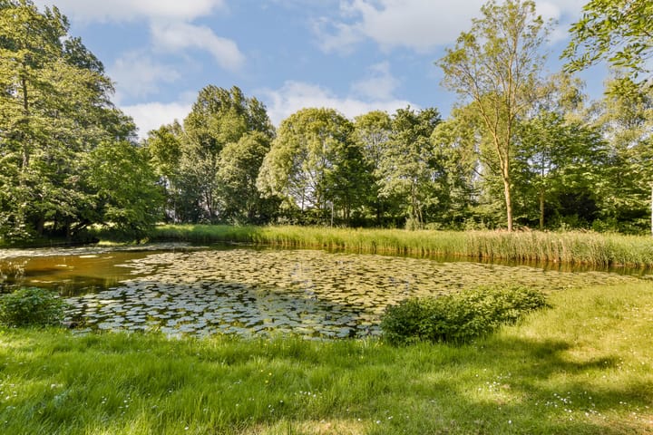 Photo 39 of Logger 149