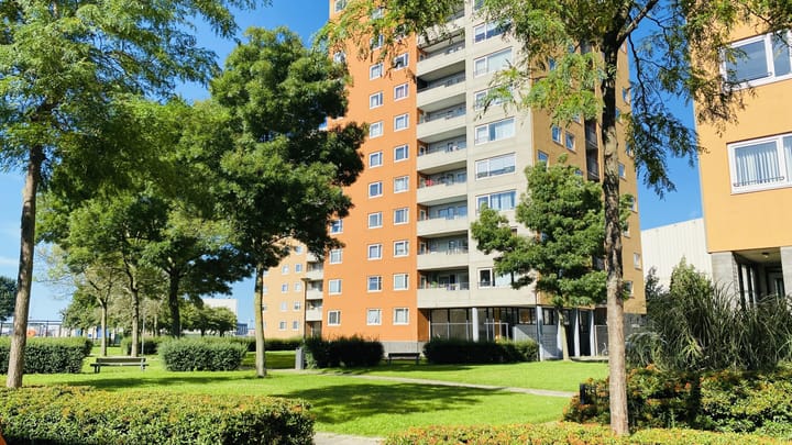 Foto 1 van Speedwellstraat 214