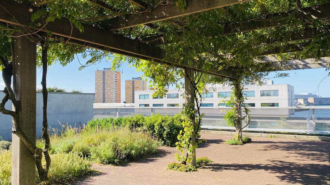 Foto 16 van Speedwellstraat 214