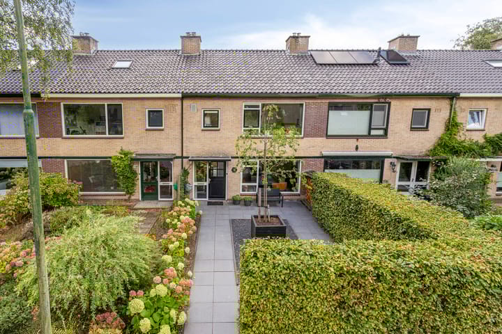 Photo 40 of Colenso 166