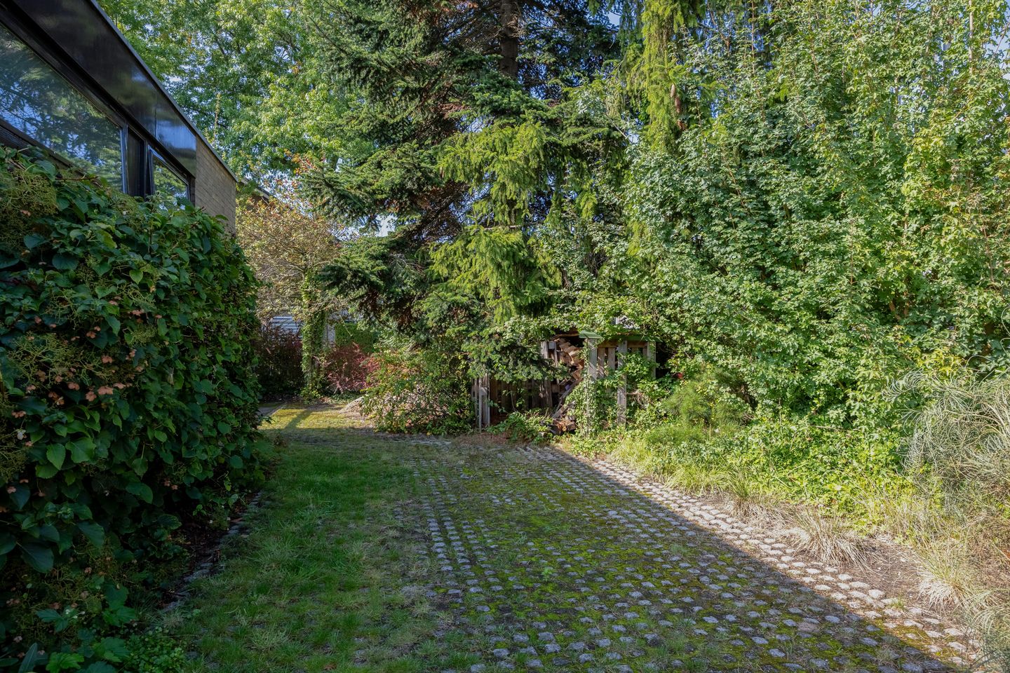 Foto 35 van Lankforst 2329-A