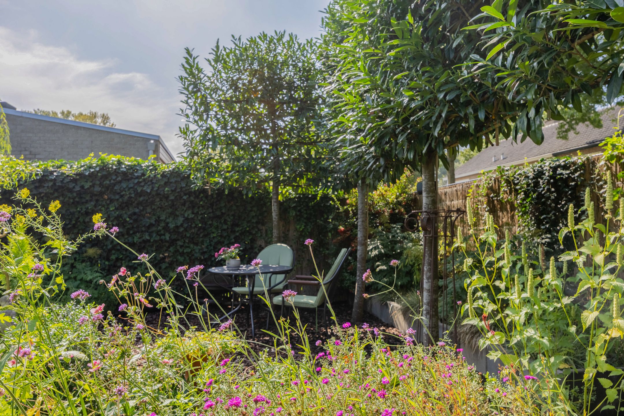 Foto 42 van Lankforst 2329-A