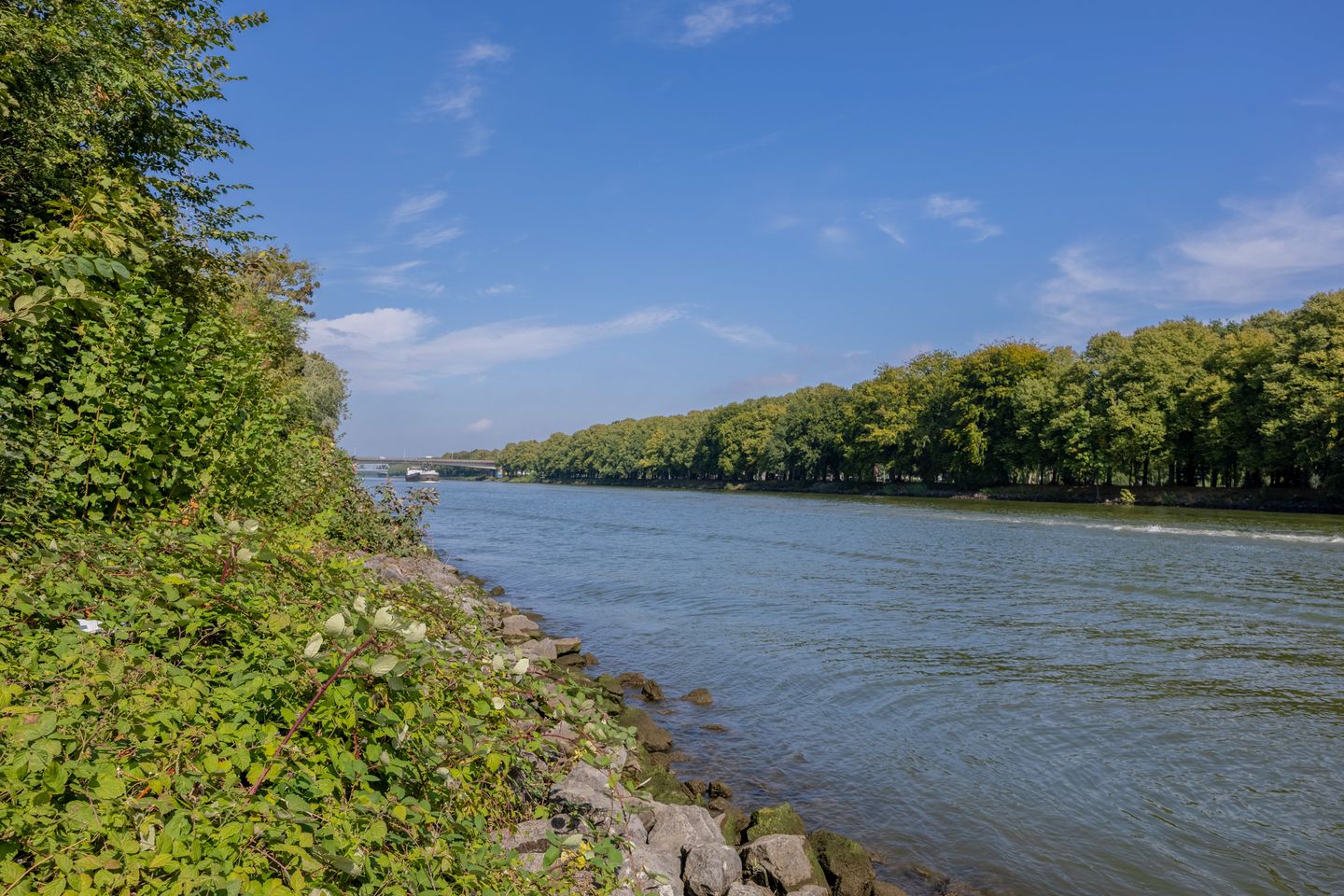 Foto 50 van Lankforst 2329-A