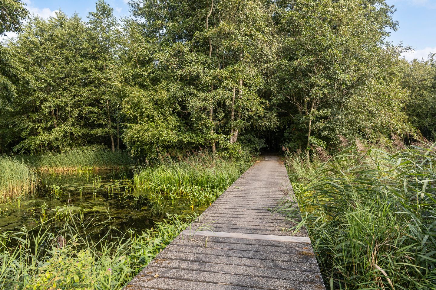 Foto 59 van Theo van Doesburgstraat 14