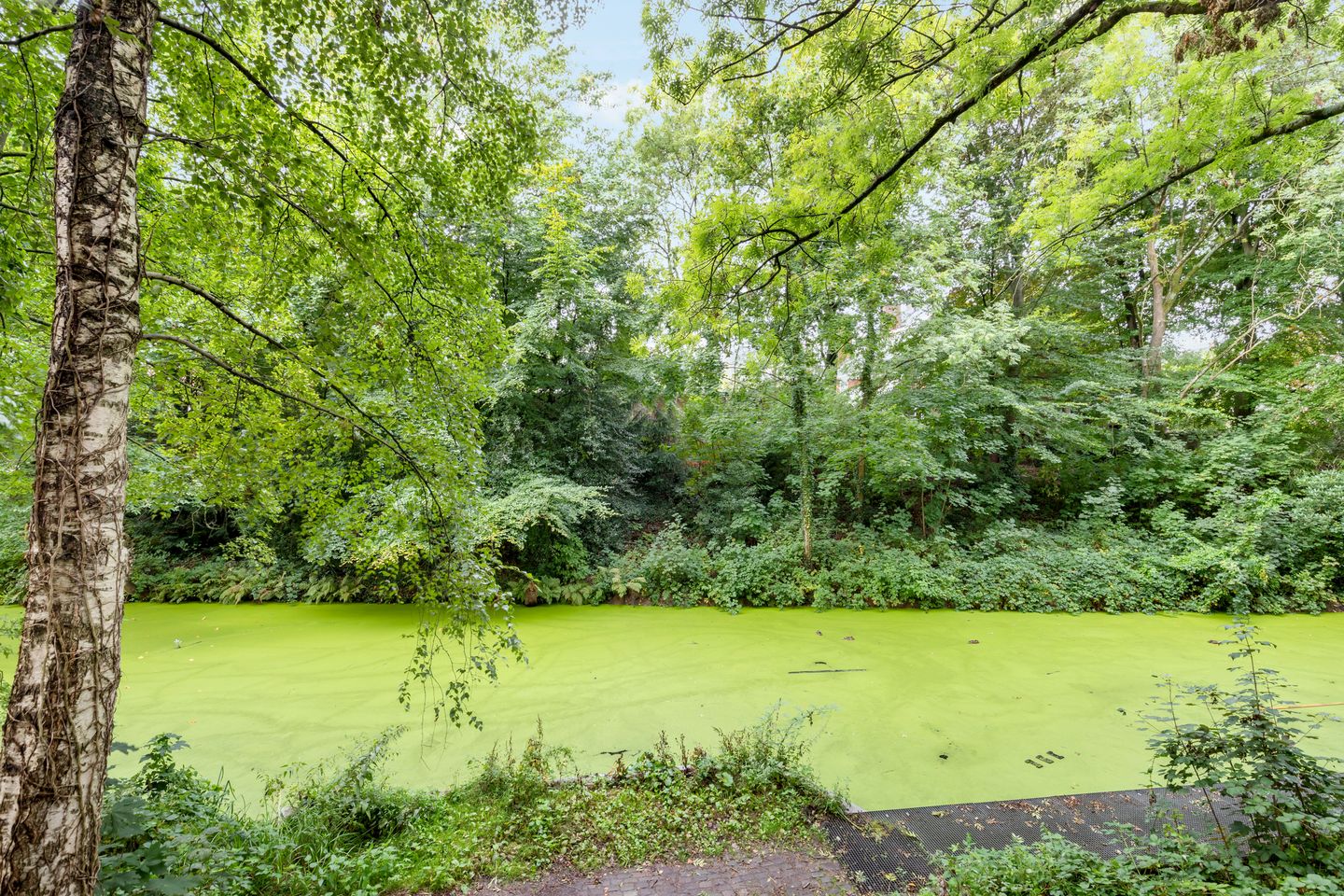 Foto 29 van Loosdrechtseweg 10