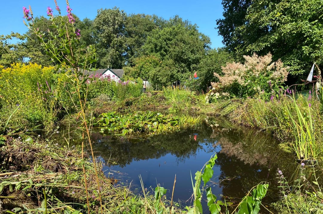 Foto 46 van Meijersgaardenweg 15