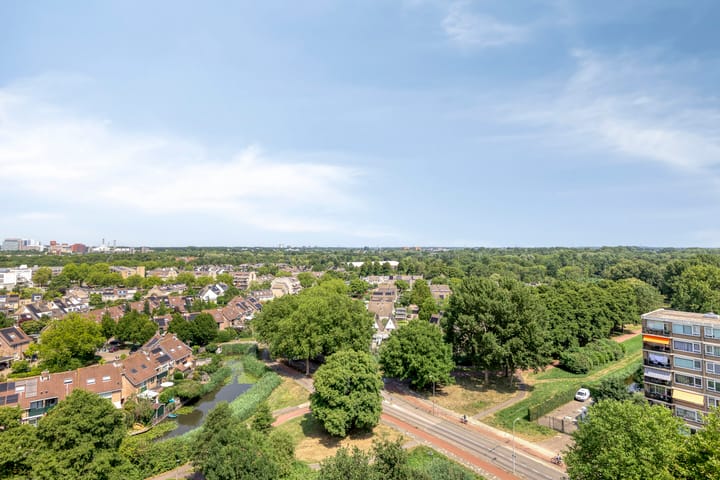 Photo 6 of Dotterlei 729