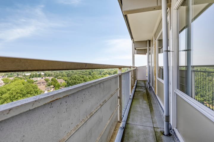 Photo 13 of Dotterlei 729