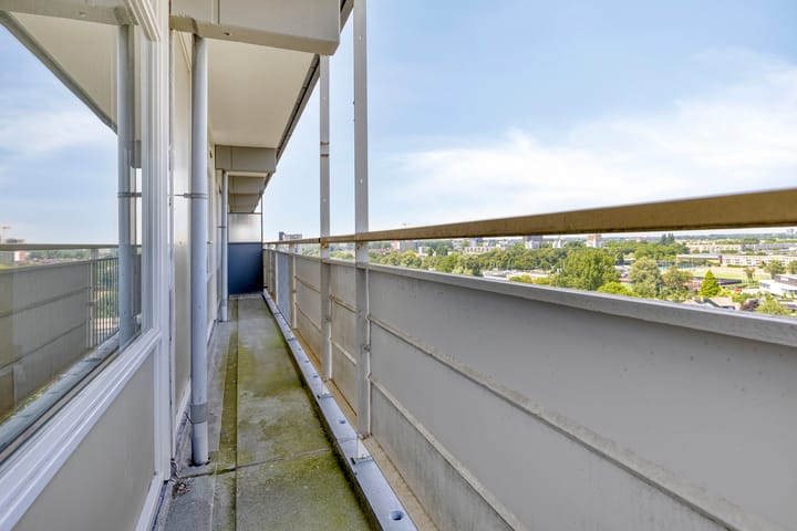 Photo 14 of Dotterlei 729