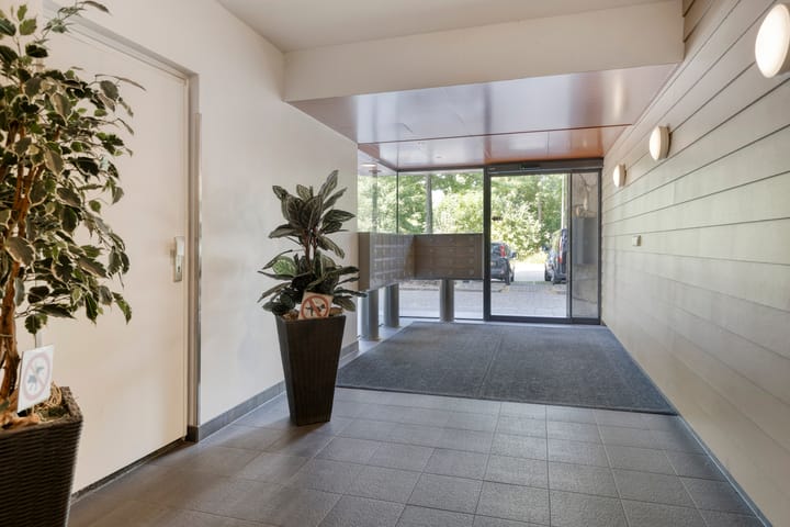 Photo 28 of Dotterlei 729