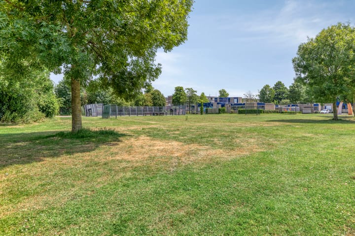 Photo 34 of Dotterlei 729