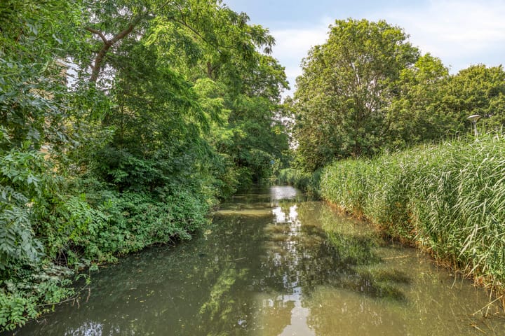 Photo 35 of Dotterlei 729