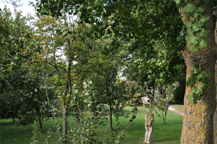 Foto 53 van Zuiderdijk 19