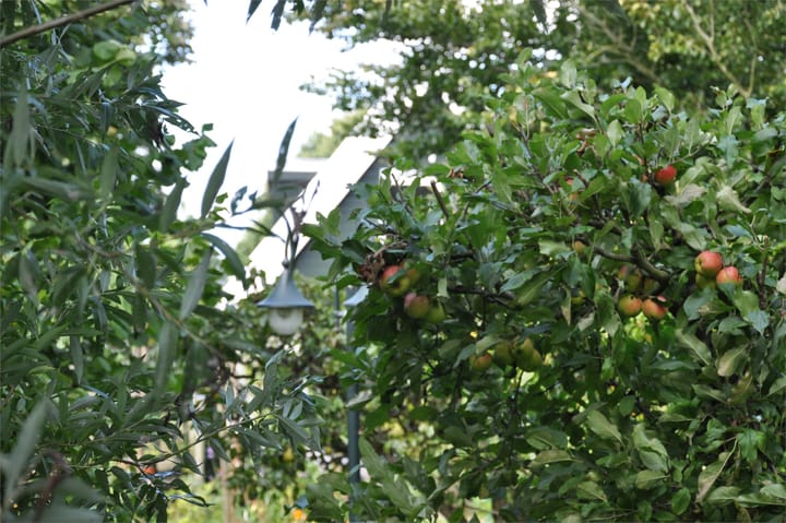 Foto 54 van Zuiderdijk 19