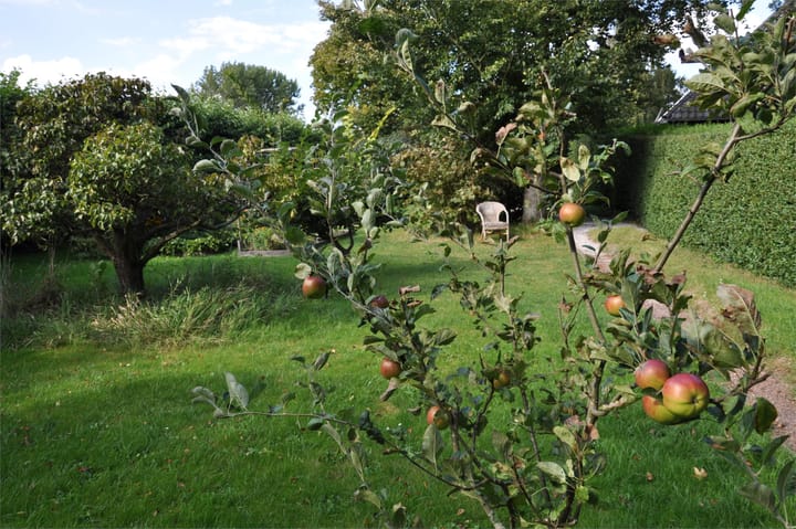 Foto 55 van Zuiderdijk 19