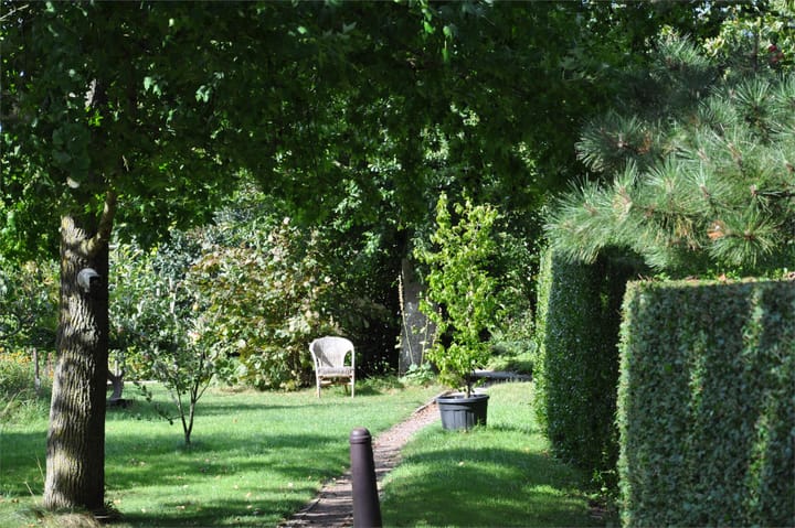 Foto 56 van Zuiderdijk 19