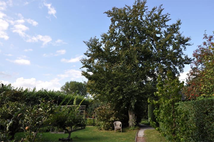 Foto 57 van Zuiderdijk 19