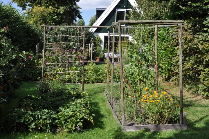 Foto 58 van Zuiderdijk 19