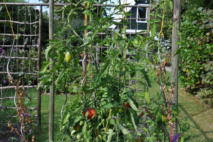 Foto 59 van Zuiderdijk 19