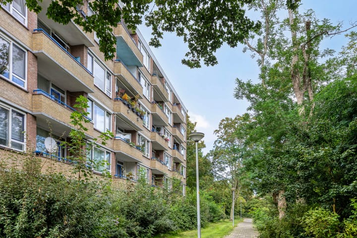 Foto 38 van Vechtstraat 12