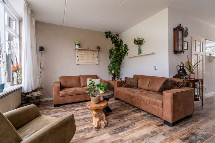 Foto 3 van Dollard 55