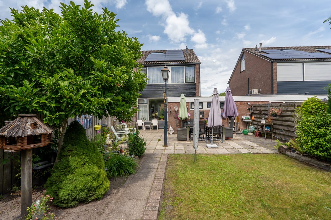 Foto 32 van Dollard 55