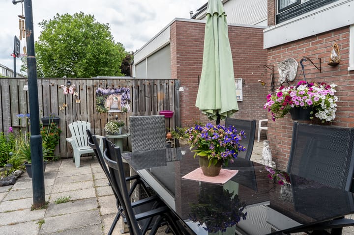 Foto 34 van Dollard 55