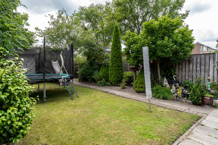 Foto 35 van Dollard 55