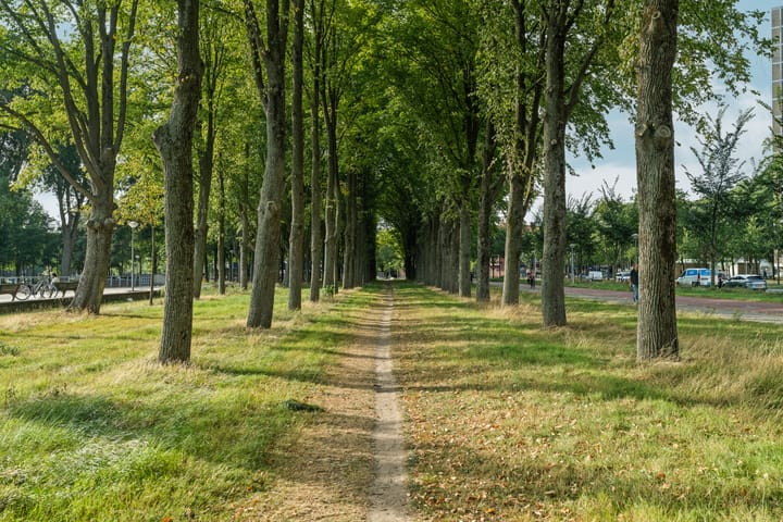 Photo 33 of Burgemeester Hogguerstraat 601