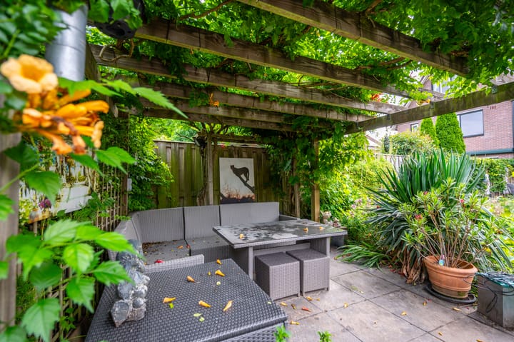 Foto 18 van Mispellaan 48