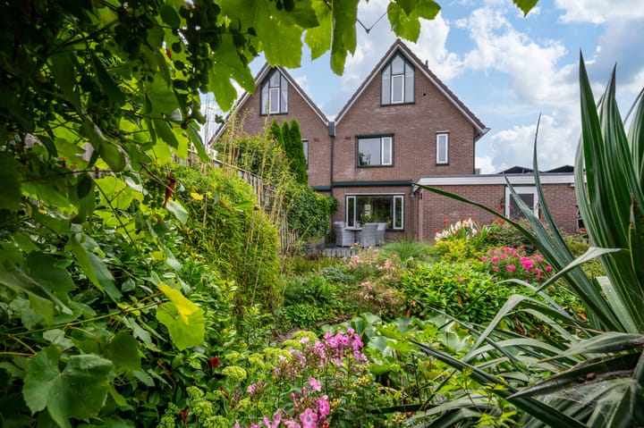 Foto 19 van Mispellaan 48