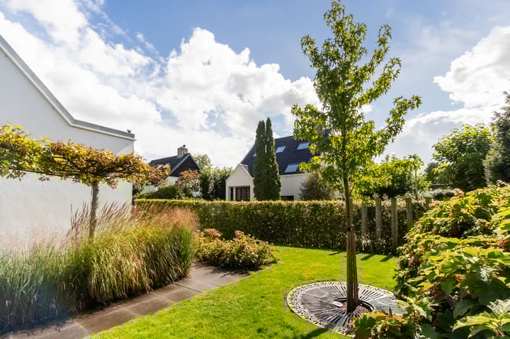 Foto 37 van Korenschoof 8